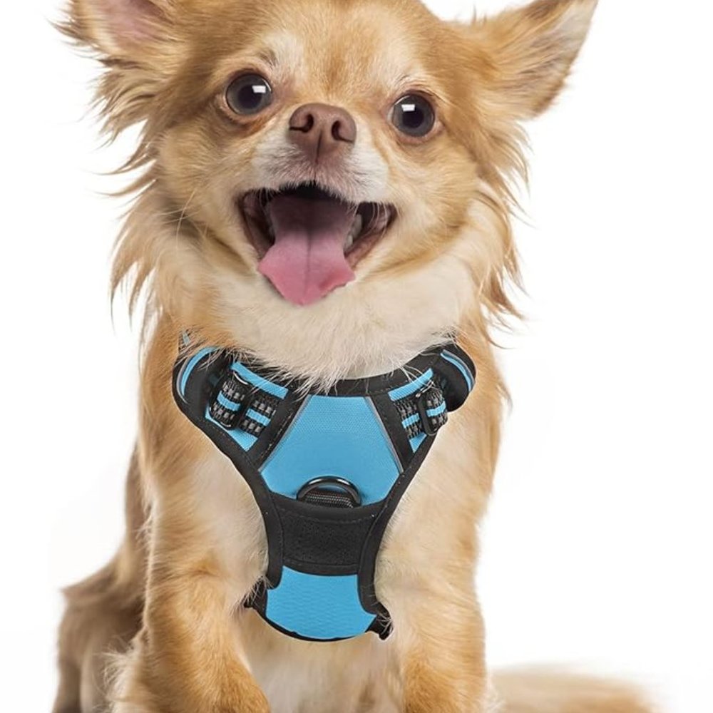 Rabbitgoo Dog Harness, -Pull Pet Harness with 2 Leash Clips, Adjustable Soft Pad